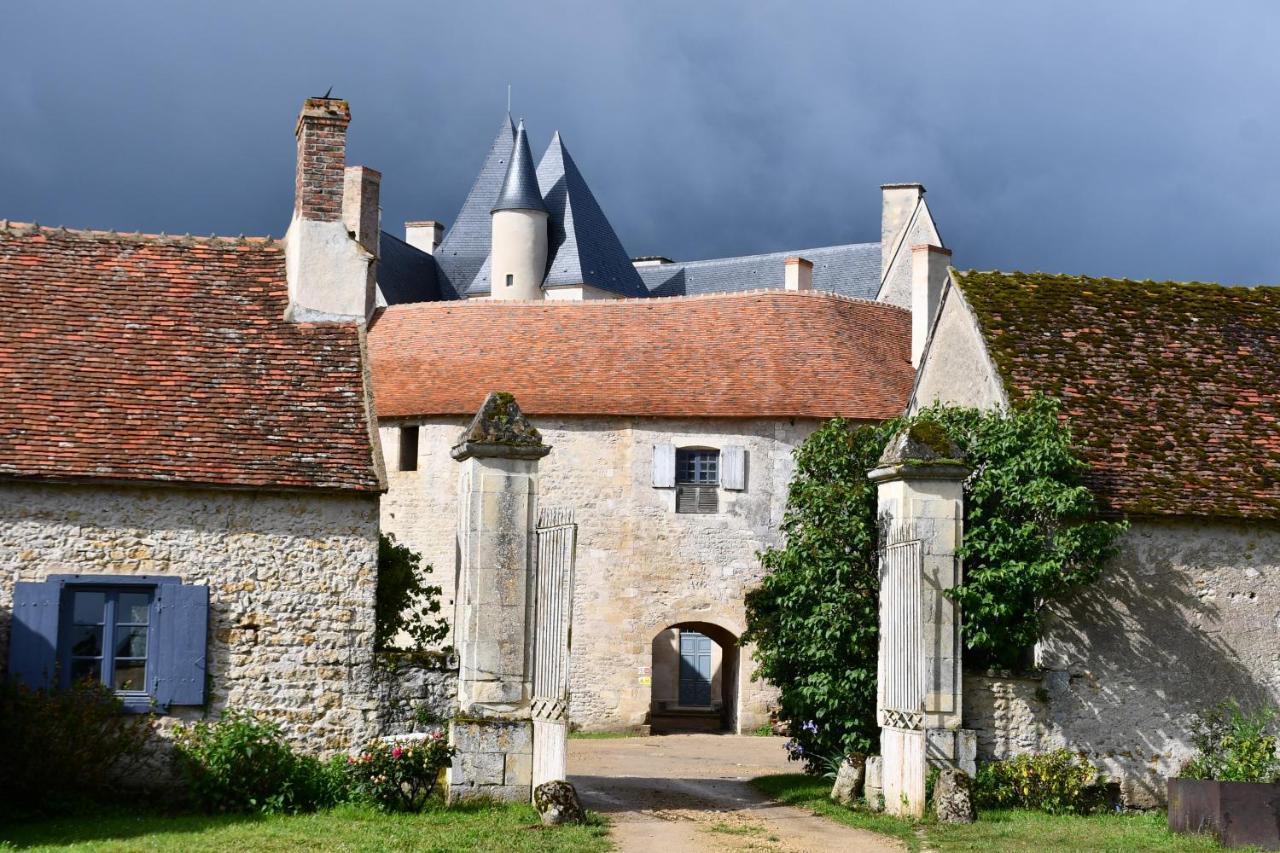 Un Chateau En Bourgogne Saincaize-Meauce Exterior photo
